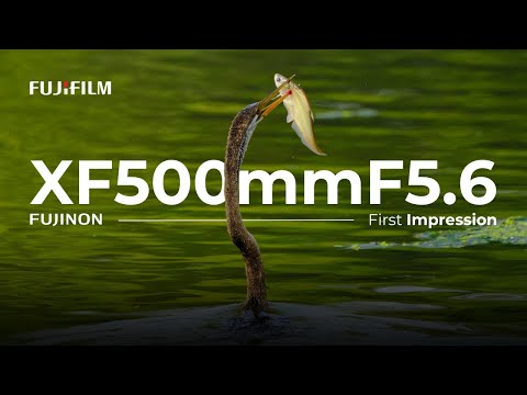 The Ultimate Lens for Wildlife Photography | Fujinon XF500mmF5.6 | Fujifilm X India