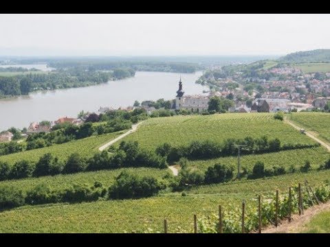 Gunderloch, Rheinhessen, Alemanha