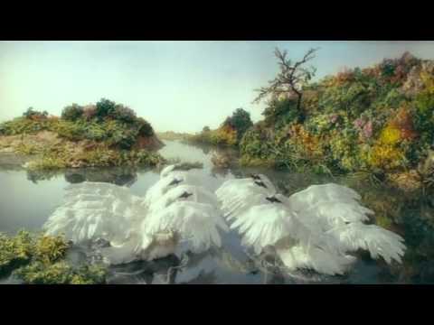 Le vilain petit canard (de Garri Bardine) - extrait