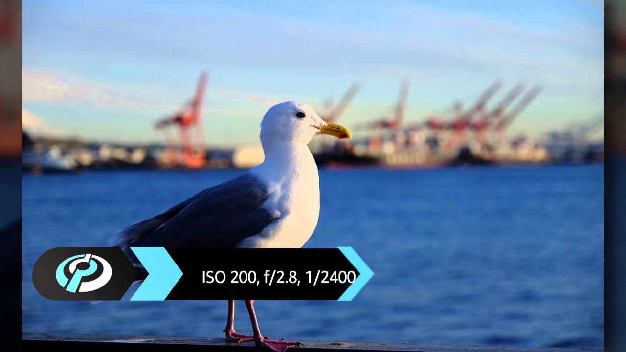 Объектив Fujifilm XF 16-55mm F2.8 R LM WR X4126