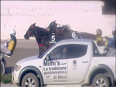 Trotto 27/12/2019 - 1ª corsa