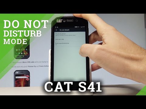 How to Enable Do Not Disturb Mode in CAT S41 |HardReset.info