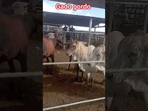 Tobias Barreto Sergipe