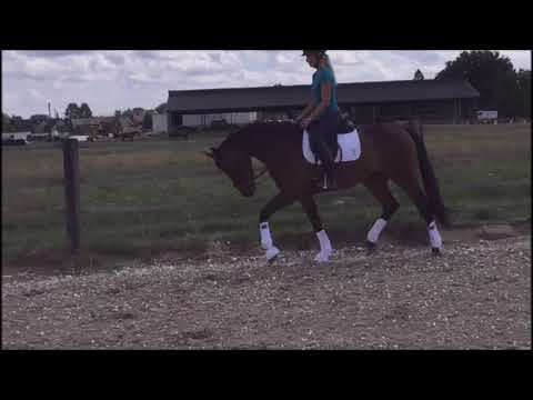 Weltino x Sandro Hit, verkauft