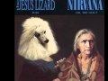 Jesus Lizard - Puss / Nirvana - Oh, The Guilt