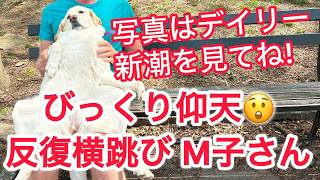 びっくり仰天　反復横跳び M子さん