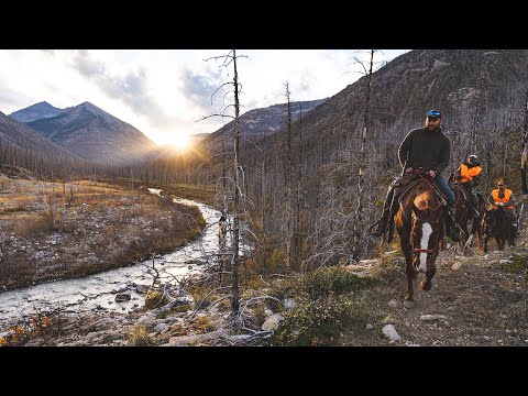 Elk Hunting with Montana Safaris in the Bob Marshall Wilderness October 2024