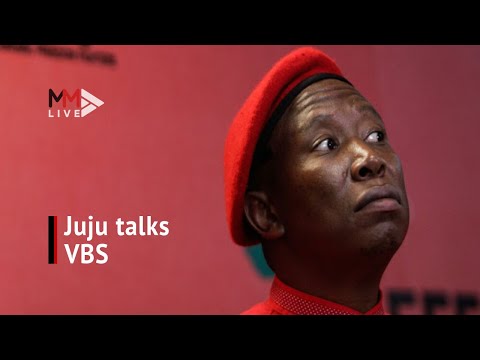 ‘I’m not being investigated on anything!’ 5 key points from Malema’s VBS ‘conversation’