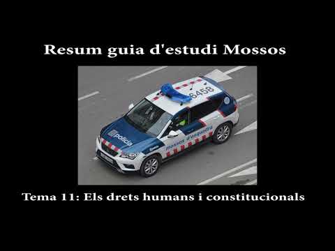 Tema 11 Mossos (B4)
