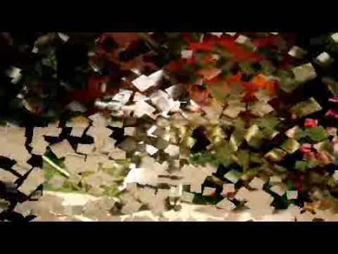 Cuenta Conmigo - Diego Torres