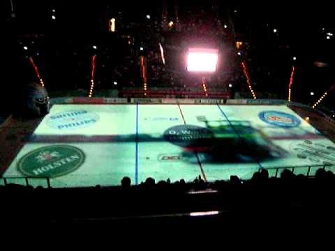 Der Einlauf der Hamburg Freezers 2011/2012