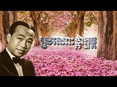 ស្រណោះផ្កាក្ទម្ព Sronos Phkar Khtom ស៊ិន ស៊ីសាមុត Sin Sisamuth (Lyric)