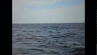 preview picture of video 'Whale Watching Near Ingonish, Nova Scotia'