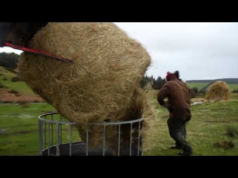 Born to Farm ITV1 Wales Promo 13/01/2023