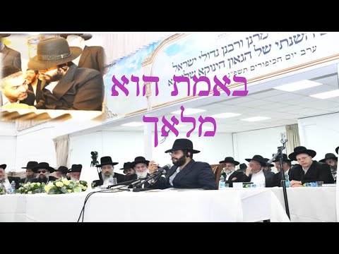 השיר על הגאון הינוקא - "באמת הוא מלאך"! - אלי הרצליך שר במקום הנכון - אהבת ישראל ללא גבולות!  מרגש!