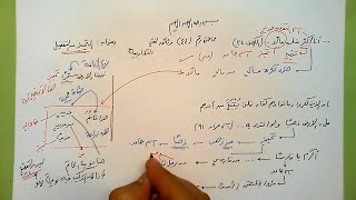 44 🗍  التمييز  من التفضيل image