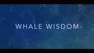 Whale Wisdom Trailer