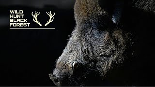 Nachtjagd mit Freunden - Schwarzwildjagd mit Wärmebildtechnik/Wild Hunt Black Forest