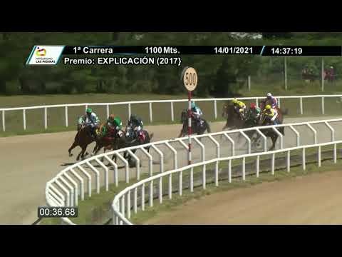 210114 c01- FUI LUCERO - HIPODROMO LAS PIEDRAS