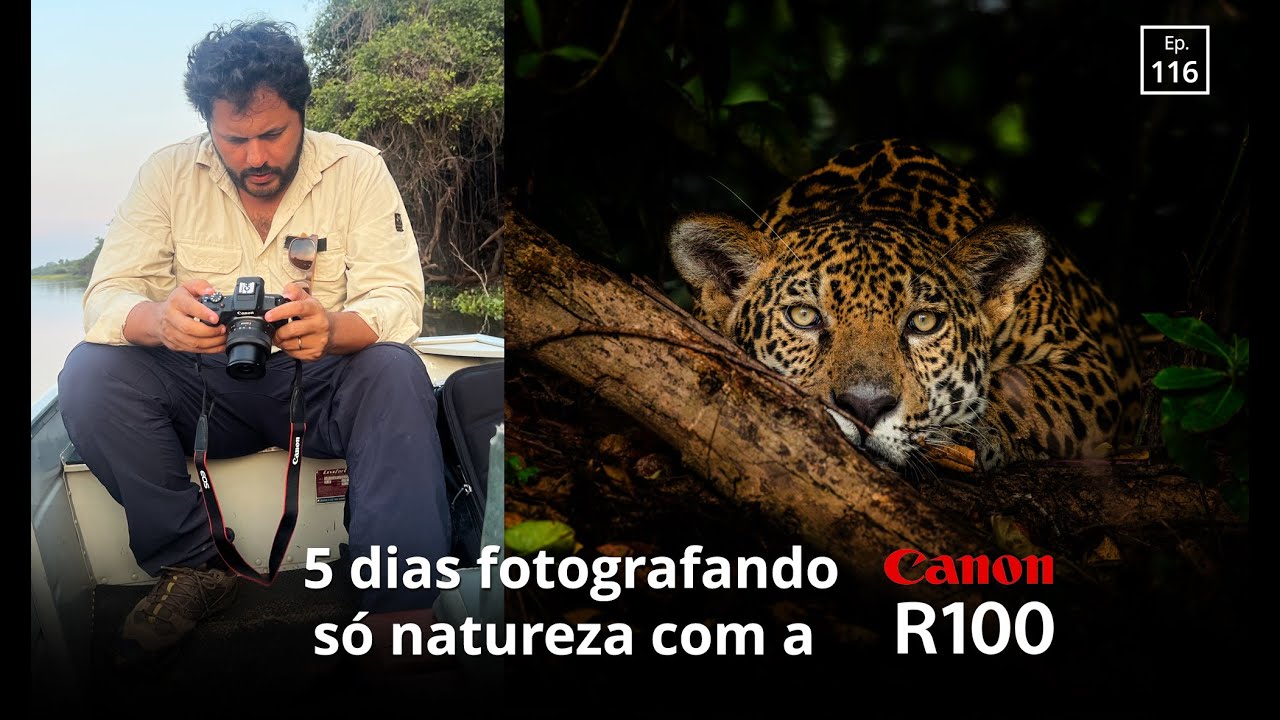 Testei a Canon R100 no Pantanal!