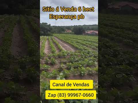 Sítio á Venda 6 hectares Esperança pb Valor 220 mil reais Zap 83 9 9967-0660 Adilson Cordeiro