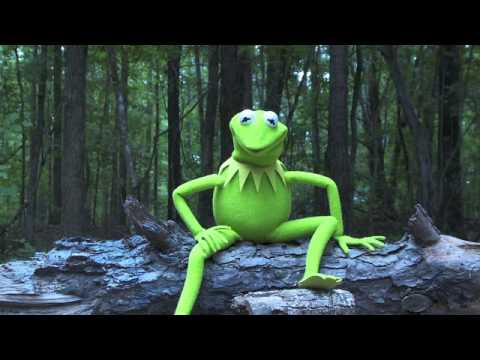 Kermit the Frog Takes the ALS Ice Bucket Challenge | The Muppets