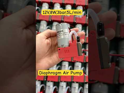 Watch the BODENFLO BD-05TR5L micro air pump in action