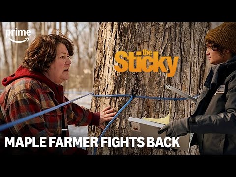 The Sticky Truth: Unpacking Maple Syrup Culture | Golden Age