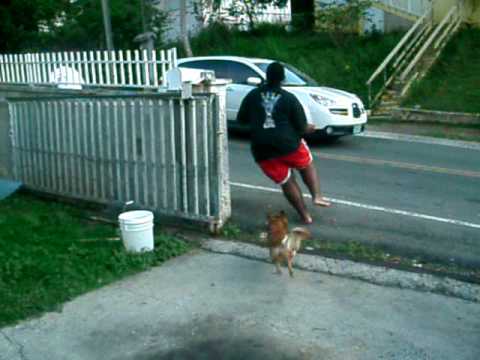 SHARIFA KILLIN KJANI