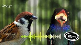 Download lagu Tengkek buto Vs Gereja Tarung. mp3