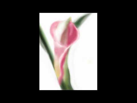 Magenta Lily Talks to Alice [474 - v1]