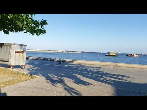 super slow motion of animal galaxy a90