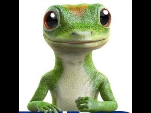 MAN DIES AFTER EATING GEICO GECKO: WHERE IS THE OUT CRY??