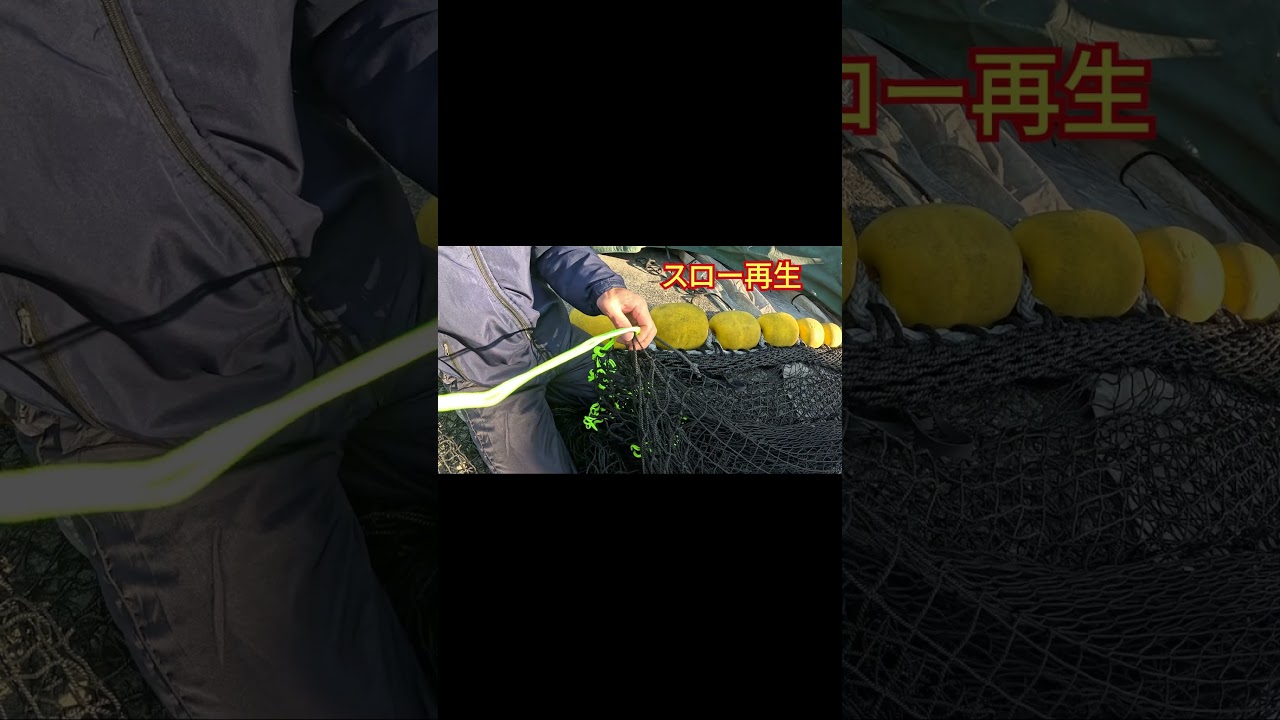 第128福一丸　網合わせ　#short