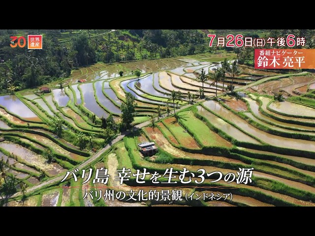 世界遺産／バリ島 1000年続く棚田の絶景（インドネシア）🈖🈑