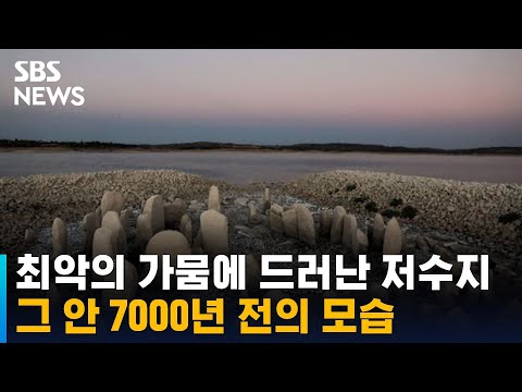 아이콘