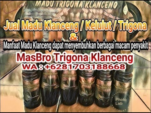 WA. 081703188668 Jual Madu Klanceng / Trigona / Kelulut di Jawa Timur - Madura. 100% Asli & Murni