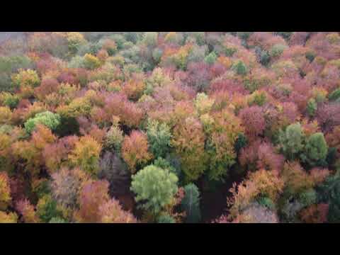 Weißer stein // Osterwald
