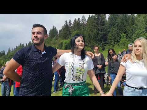 🔴 Brat i sestra kolo vode Eldar i Selma Mašić - Orahovice kod Goražda - Irfa Reva - Bosanski teferič