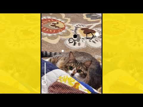 Crystal the Pet Nanny. LLC video.