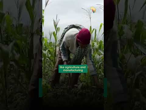 IMF Approves $341 Million in Ethiopia’s First Loan Program Review