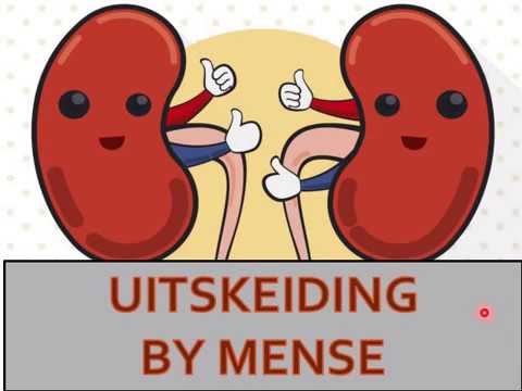 LEWENSWETENSKAP GRAAD 11: 08 Junie 2020 - periode 7 (08117)