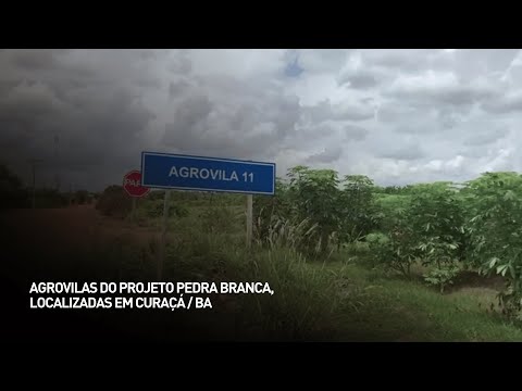 Agrovilas do projeto Pedra Branca, localizadas em Curaçá - BA