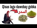 Qisas Cajibka Gedka Gobta Oo Lagu Dawobay Gurka Waa Nimca Marka Isticmalay Wajiga Wax Iga Bexen