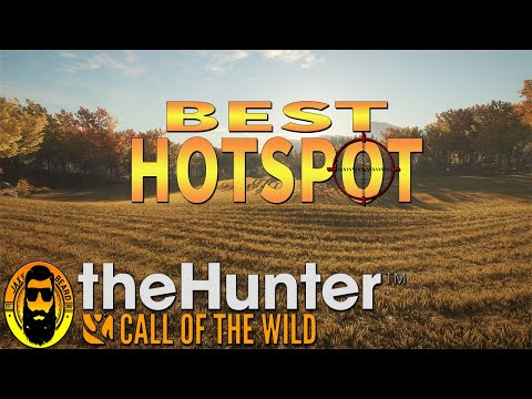 thehunter call of the wild fast money thehunter call of the wild fast money