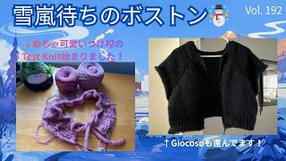 日々色々 🌸色 Vol. 192 from Boston 🇺🇸