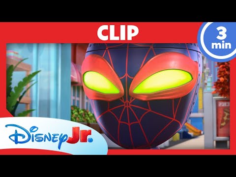 🕸️ Spidey überfällt die Bank?! | Spidey und seine Super-Freunde
