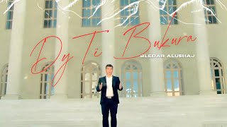 Bledar Alushaj - Dy Te Bukura