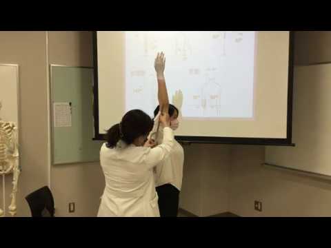 柔道整復学科 宝塚医療大学　理学療法学科　模擬授業