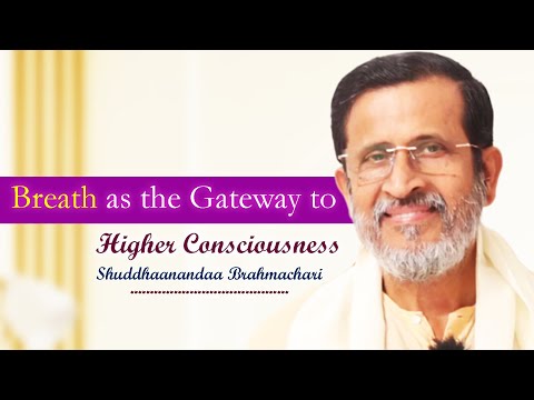 Leadership and life guidance rooted in breath, clarity and inner harmony